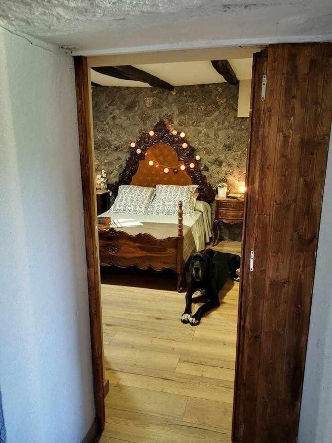 Mas Els Plans La Casa Pensada Para Perros Que Viajan Con Sus Humanos Olot Exteriör bild