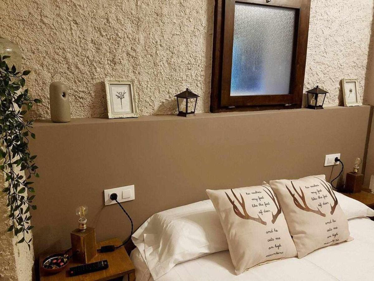 Mas Els Plans La Casa Pensada Para Perros Que Viajan Con Sus Humanos Olot Exteriör bild