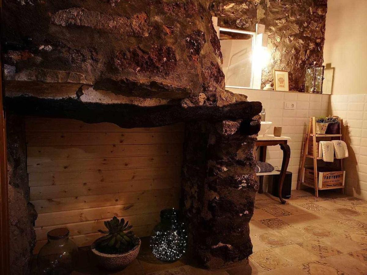 Mas Els Plans La Casa Pensada Para Perros Que Viajan Con Sus Humanos Olot Exteriör bild