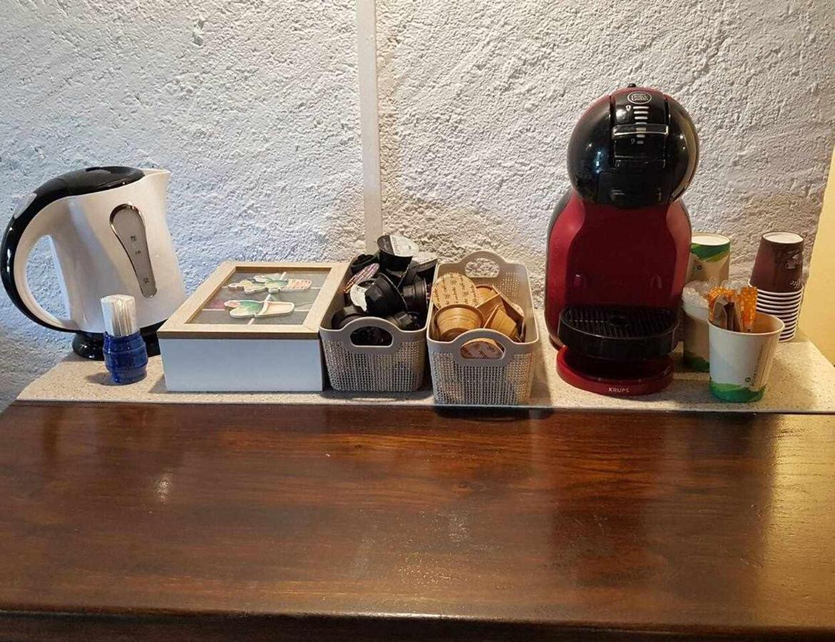 Mas Els Plans La Casa Pensada Para Perros Que Viajan Con Sus Humanos Olot Exteriör bild